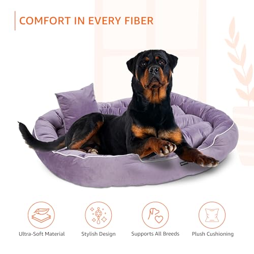 Amazon Basics Polyester XXL Pet