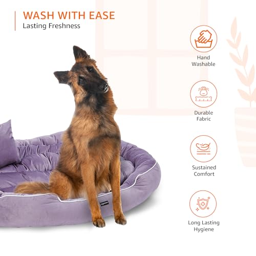 Amazon Basics Polyester XXL Pet