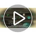 Springwel Easy PureOrtho Balance Pro