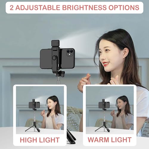 Kratos 28 Inch Selfie Stick