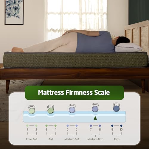 Livpure Smart Regal Orthopaedic Plush