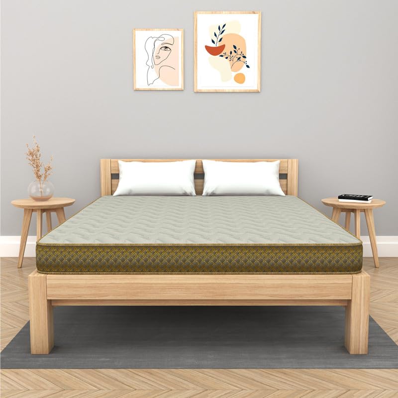 Centuary Mattresses Softopedic 2.0,6-Inch Double