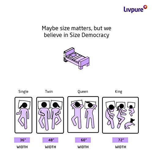 Livpure Smart Regal Basic