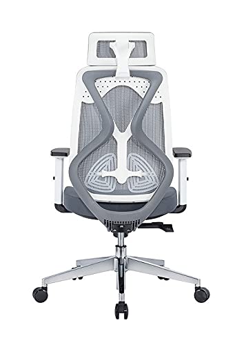 MBTC Revive Ergonomic High Back