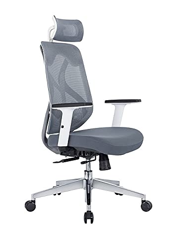 MBTC Revive Ergonomic High Back