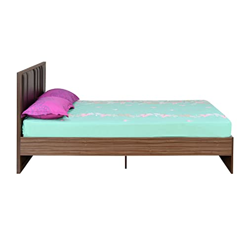 @home by Nilkamal Sterling Upholstered