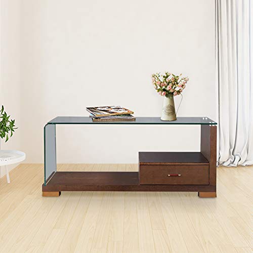 HomeTown Emily Glass Center Table in Dark Brown Colour