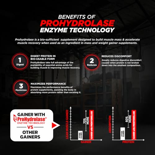 Bigmuscles Nutrition Real Mass Gainer|Lean