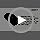 ZEBRONICS Byte Wired Optical Mouse