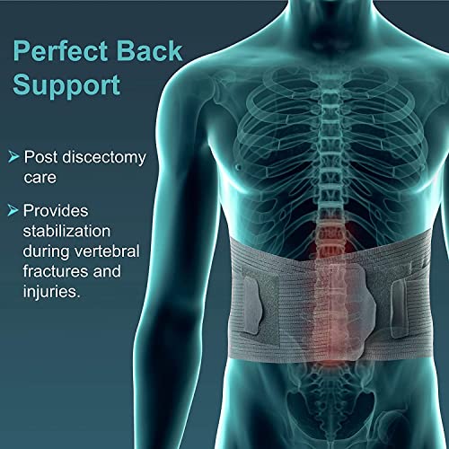 Unisex Contoured Lumbar Support Belt