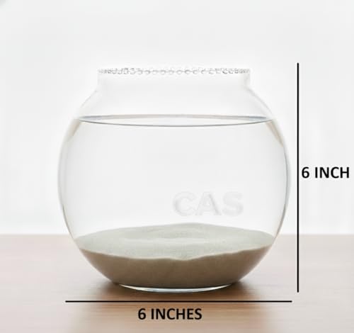 CAS 1L to 14L Glass Fish Bowl (6 inches, Surface (Glass)) 1.6 Litre - Image 2