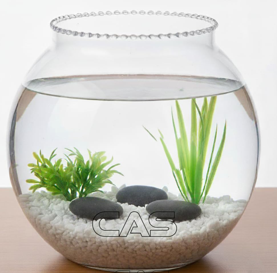 CAS 1L to 14L Glass Fish Bowl (6 inches, Surface (Glass)) 1.6 Litre - Image 5