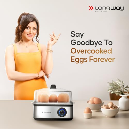 Longway LWEB04 500 Watt Stainless