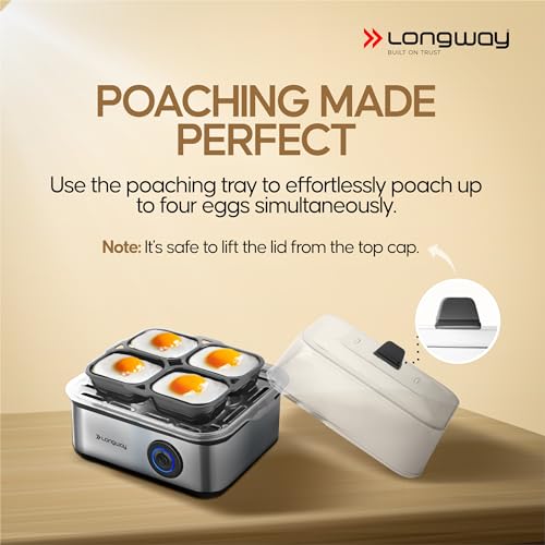 Longway LWEB04 500 Watt Stainless