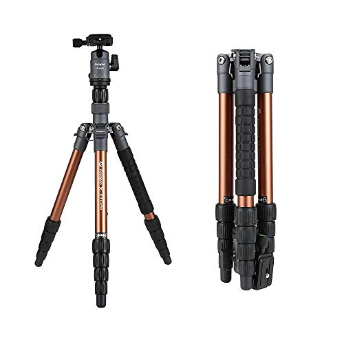 Fotopro X-Go Gecko 5ft Aluminium