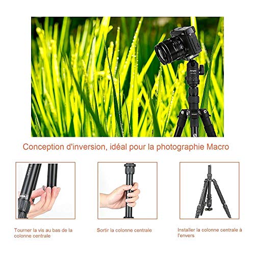 Fotopro X-Go Gecko 5ft Aluminium