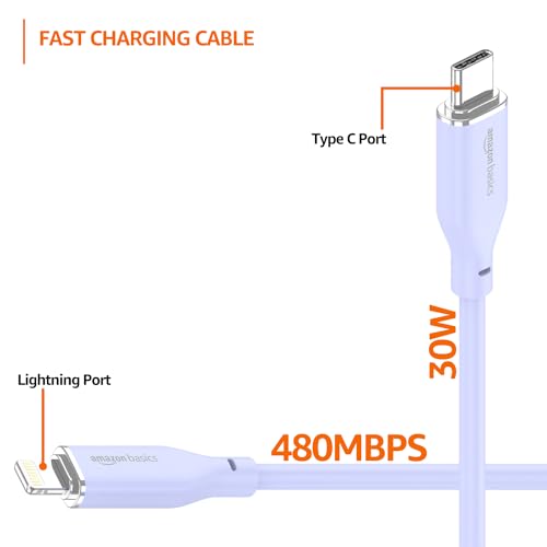 amazon basics Type-C to Lightning