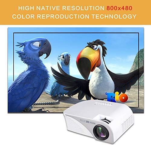 Miracle Digital 1200 Lumens Portable
