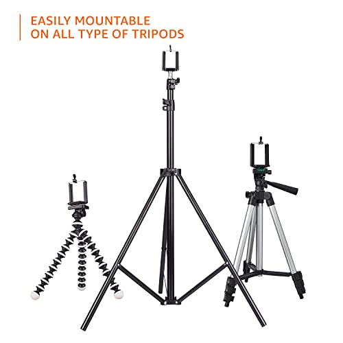 Amazon Basics Mobile Holder