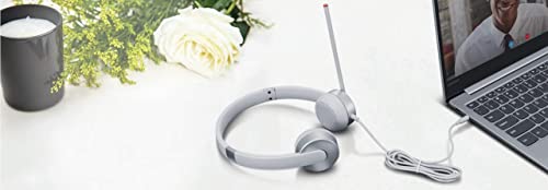 Lenovo 100 Stereo Analogue Wired