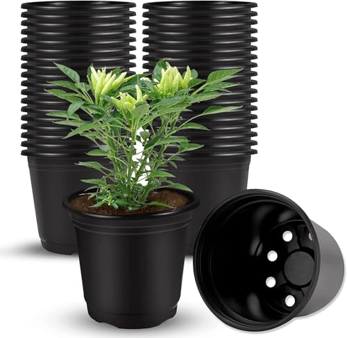 Plastic Flower Pots 3 Inch
