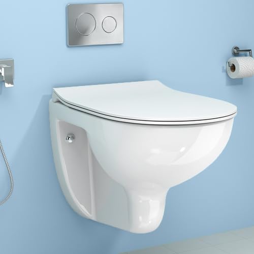 WASSMIST Commode Toilet | Western
