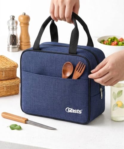 Insulated Travel Lunch/Tiffin/Storage Bag