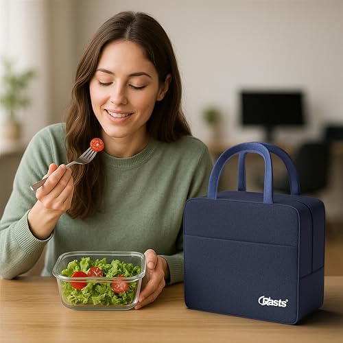 Insulated Travel Lunch/Tiffin/Storage Bag
