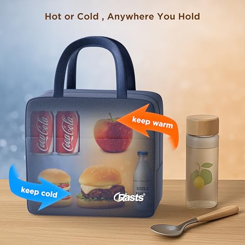 Insulated Travel Lunch/Tiffin/Storage Bag