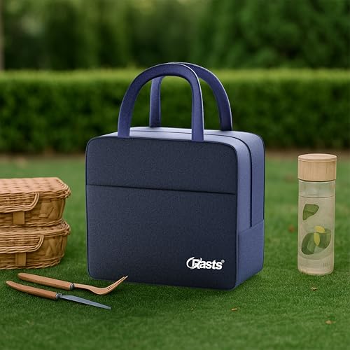 Insulated Travel Lunch/Tiffin/Storage Bag