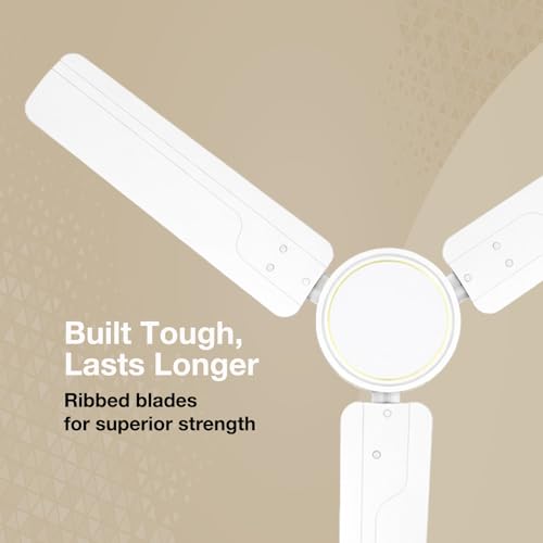 Havells REO Vaayu 1200mm ES
