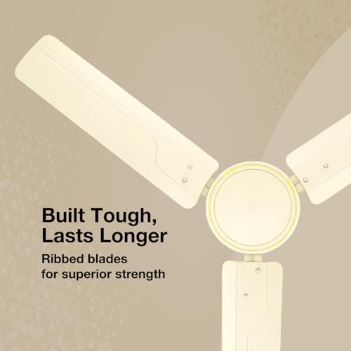 Havells REO Vaayu 1200 mm