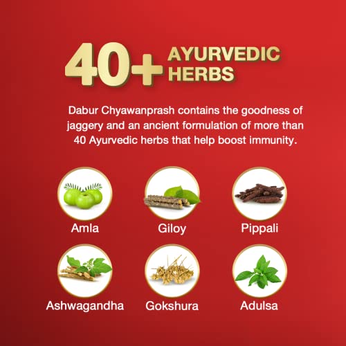 Dabur Chyawanprash Awaleha - 900g