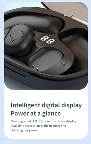 OpenGo OWS Open Ear Earbuds