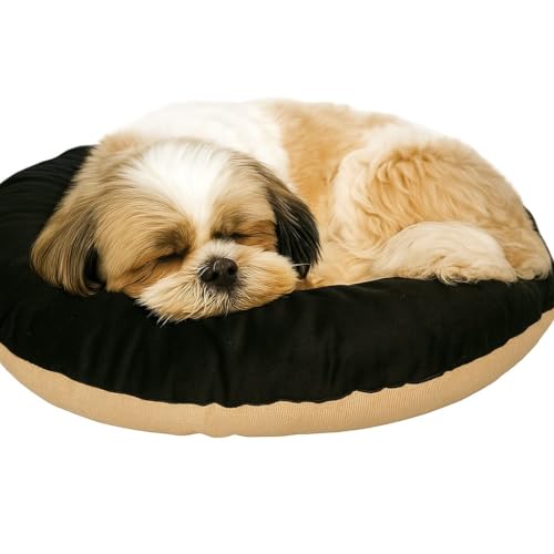 The Pets Company Calming Dog