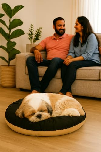 The Pets Company Calming Dog