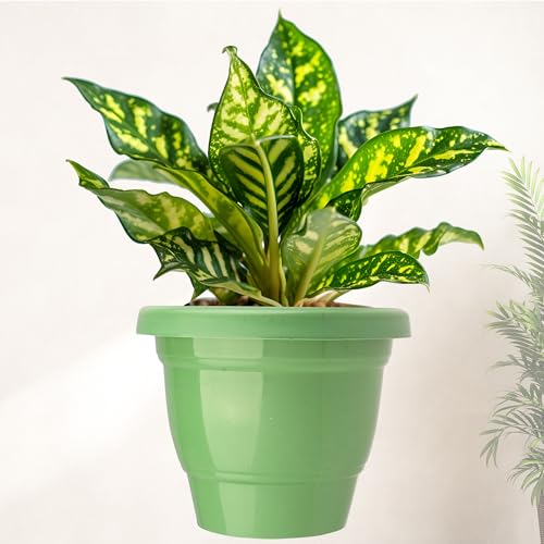 Urbane Home Flower Pot