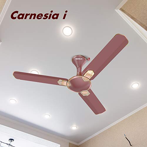 Havells Carnesia i 1200mm Ceiling