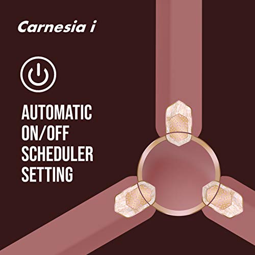 Havells Carnesia i 1200mm Ceiling