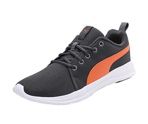 Puma Men Dryflex Walking Shoe