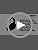 HAMMER Bash Vivid ANC Wireless
