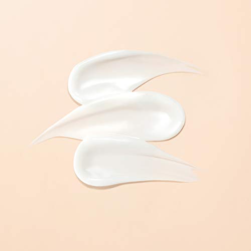 L'Oreal Paris Infallible Lasting Primer, 30 g - Image 3