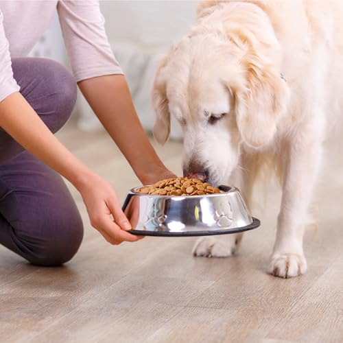 Amazon Basics Dry Dog Food