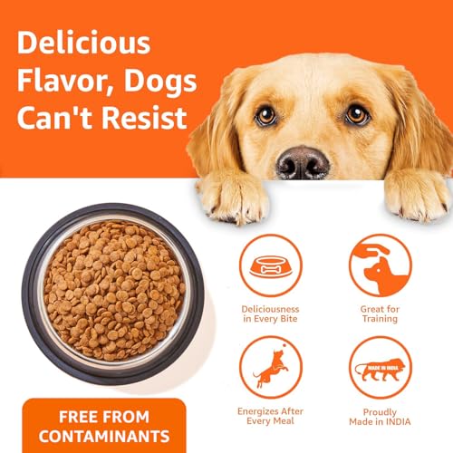 Amazon Basics Dry Dog Food