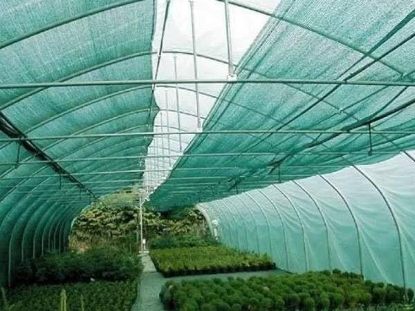 Green Shade Net, 50% UV