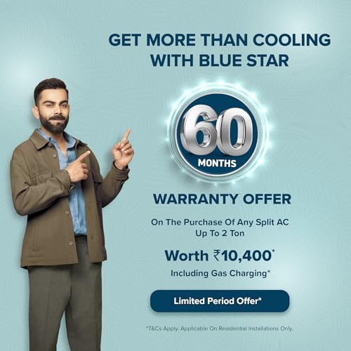 Blue Star 1 Ton 3