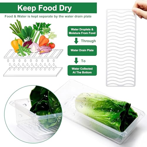 Fridge Storage Boxes - Set