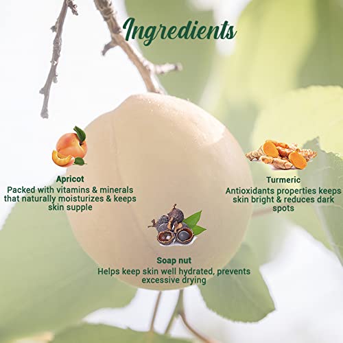Biotique Bio Apricot Refreshing Body