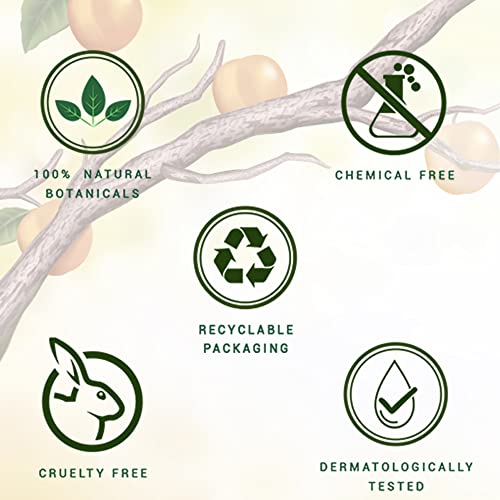Biotique Bio Apricot Refreshing Body