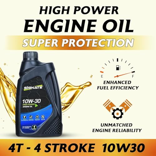 Signate 10W30 4T Scooter Engine
